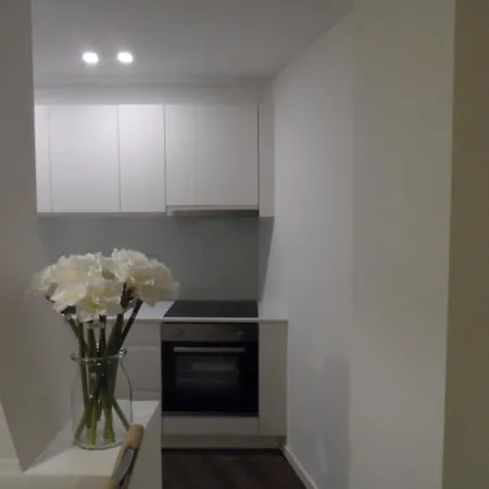 Erkel Rooftop Appartement *