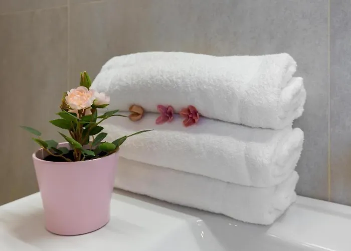 Apartment Erkel Rooftop