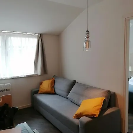 Erkel Rooftop Appartement *