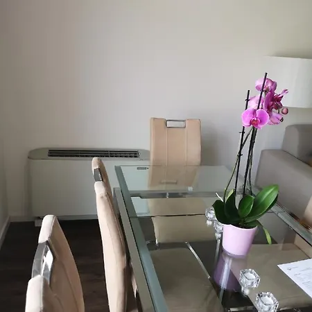 Erkel Rooftop 公寓 布达佩斯